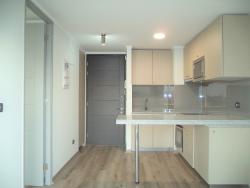 Arriendo en Santiago - Santiago