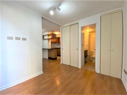Departamento para Arriendo en Santiago - 4