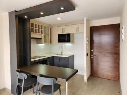 #7497023 - Departamento para Arriendo en Recoleta - XIII