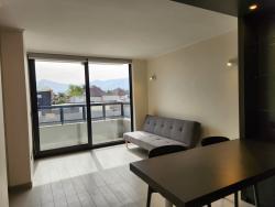 #7497023 - Departamento para Arriendo en Recoleta - XIII