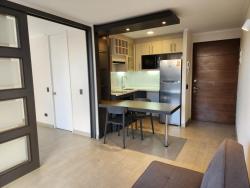 Departamento para Arriendo en Recoleta - 4