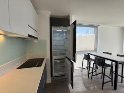 #8484061 - Departamento para Arriendo en Providencia - XIII