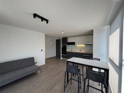 Departamento para Arriendo en Providencia - 4